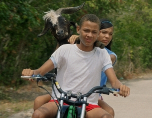 Bad Lucky Goat